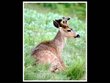 Photography: Nature Shots & Candid Photos